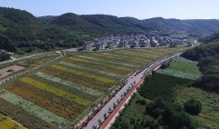 今日南泥湾 花满河谷绿满山