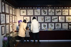 河北迁安：打造中医药文化展馆 传承