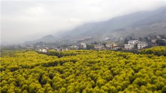 重庆北碚：艺术设计扮美乡村