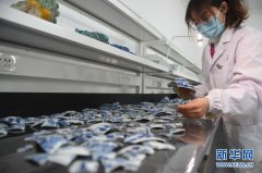 圆明园：修复1860第三期文物修复启动