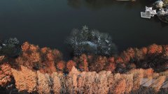合肥：雪韵美如画